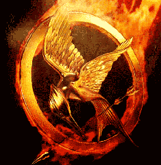 Mockingjay_on_fire