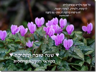 Shana Tova 2016 VR readers